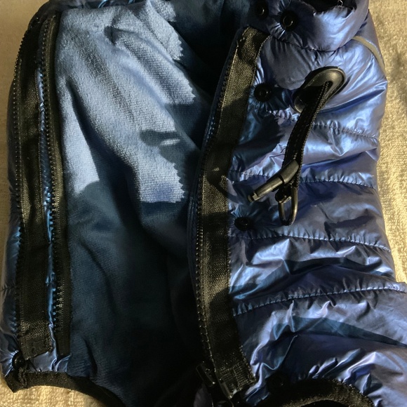 Dog Pet Puffy - Picture 8 of 9